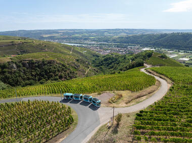 Côte-Rôtie Tour_Ampuis