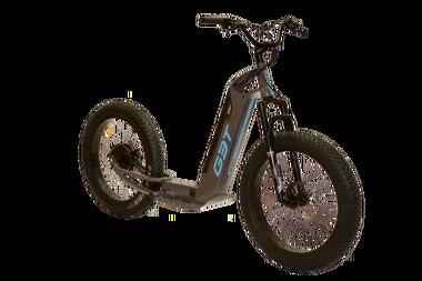 Globe3T