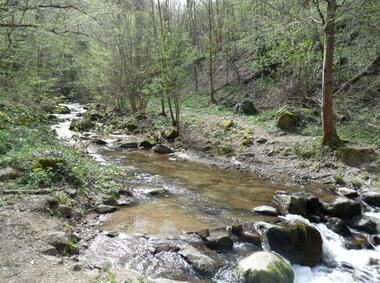 Pêche dans la rivière Valencize_Pélussin