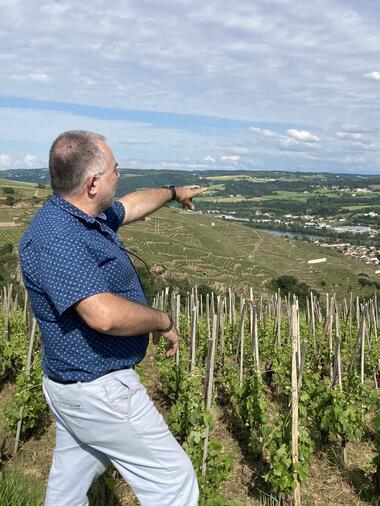 Côte-Rôtie