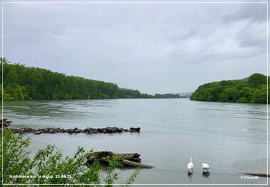 L'Île du Beurre_Tupin-et-Semons