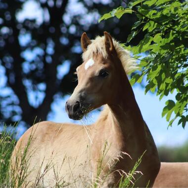 De Ferme en Ferme "L'Ecrin Lacté"_Saint-Régis-du-Coin
