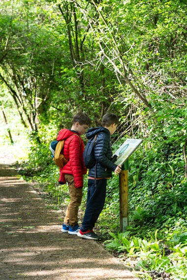 Centre d'observation de la nature de l'île du Beurre_Tupin-et-Semons