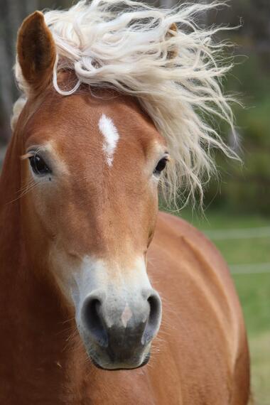 De Ferme en Ferme "L'Ecrin Lacté"_Saint-Régis-du-Coin