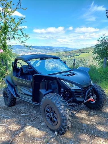 Buggy