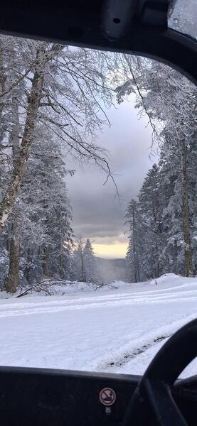 Paysage