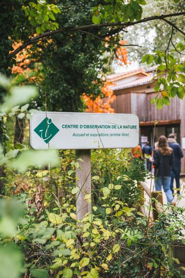 Balades découverte du patrimoine naturel de l'île du Beurre_Tupin-et-Semons