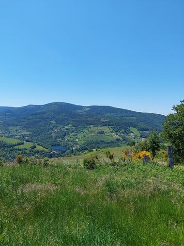 paysage