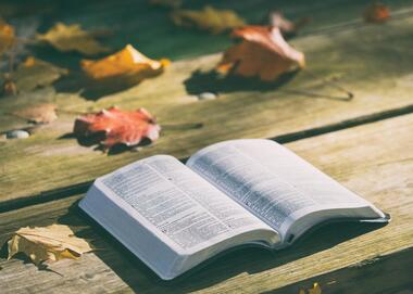 Balade contée à Rochetaillée par la compagnie des mille sources_Rochetaillée