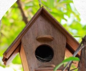 Atelier "Oiseaux et nichoirs" - L'envers du Grenier_Saint-Sauveur-en-Rue