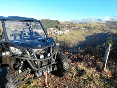Buggy