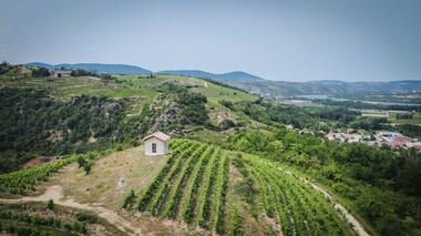 Brunch Vigneron au Domaine Anthony Paret_Saint-Pierre-de-Boeuf