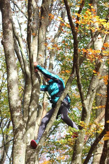 Accrobranche en terrain d'aventure