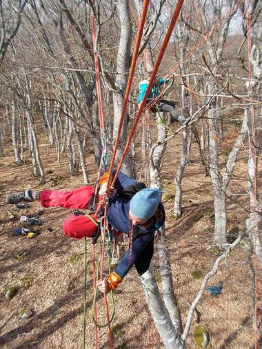 Accrobranche en terrain d'aventure