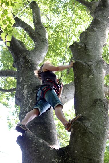 Accrobranche en terrain d'aventure