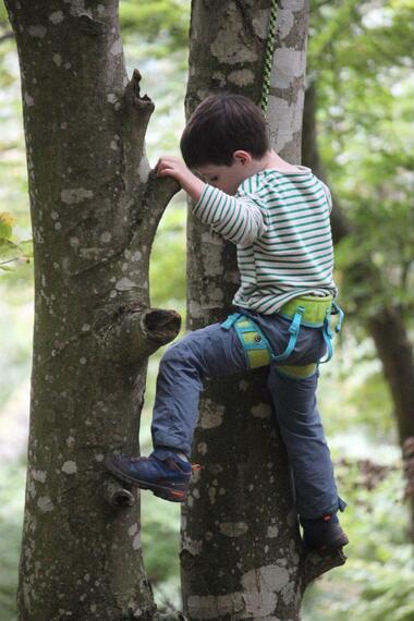 Accrobranche en terrain d'aventure