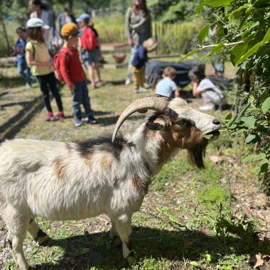 Ferme Pédagogique