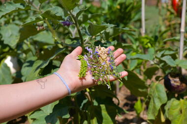 Les vacances au musée :  visite flash, que faisaient les romain au printemps ?_Saint-Romain-en-Gal