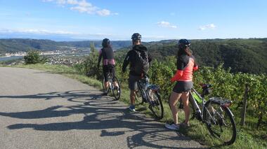 Panorama sur la vallée du Rhône