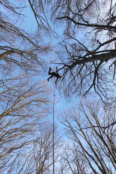 Accrobranche en terrain d'aventure