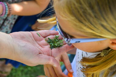 Les vacances au musée :  visite flash, que faisaient les romain au printemps ?_Saint-Romain-en-Gal