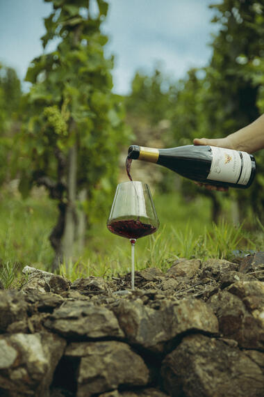 Verre dans les vignes