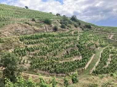 Coteaux