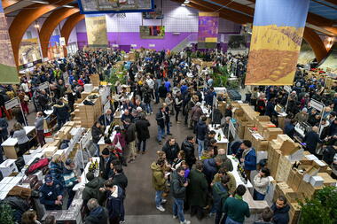 Marchés aux vins d'Ampuis_Saint-Romain-en-Gal