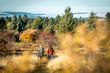 Sentier d'interprétation - A la découverte des Crêts - boucle de 10 km_Véranne