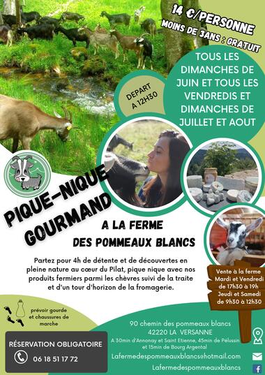 Pique-nique à la Ferme des Pommeaux Blancs_La Versanne
