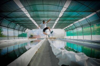 De Ferme en Ferme "Spiruline du Pilat"_Châteauneuf