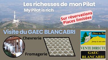 Visite commentée du GAEC Blancabri_Bessey