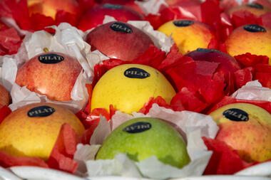 Fête de la Pomme_Pélussin