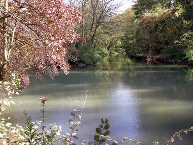 L'Île du Beurre_Tupin-et-Semons