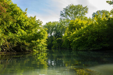 L'Île du Beurre_Tupin-et-Semons