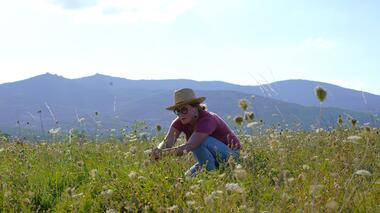 Atelier Plantes Sauvages & Apiculture_Malleval