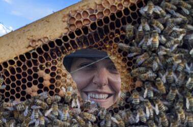 Atelier Plantes Sauvages & Apiculture_Malleval
