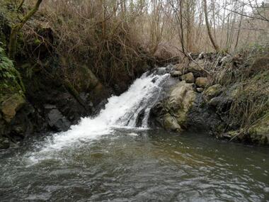 Pêche dans la rivière Batalon_Malleval