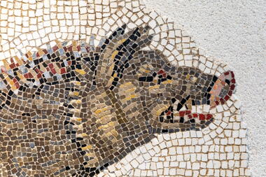 Les vacances au musée : visite flash, que faisaient les romains au printemps ?_Saint-Romain-en-Gal