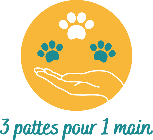 3 pattes pour 1 main