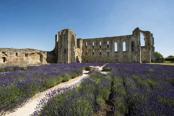 Cathedrale