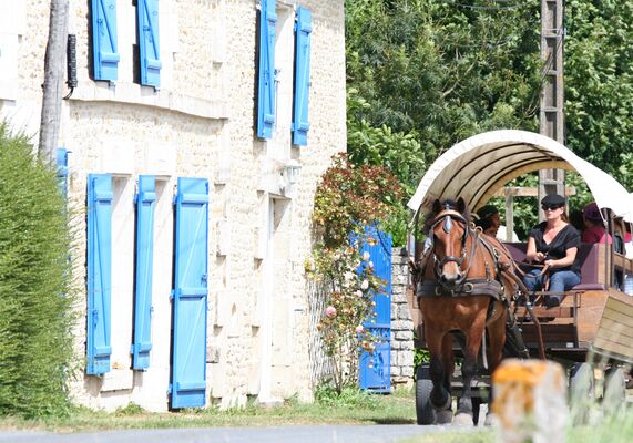 Balade en calèche à Coulon avec les Roulottes de l'Abbaye