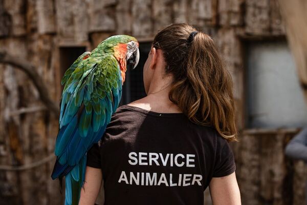 Animation pédagogique La Tanière zoo refuge ©Edouard Pacreau