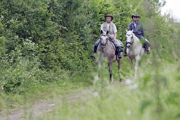 Centre de Tourisme Equestre