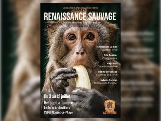 Renaissance sauvage
