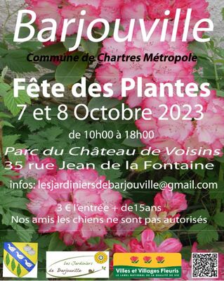Fête des fleurs barjouville