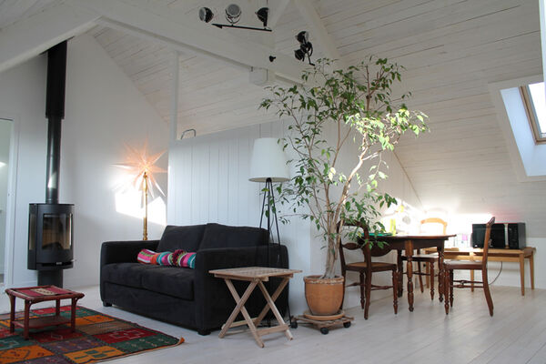 Salon et coin repas