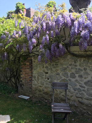 Appartement terrasse: jardin