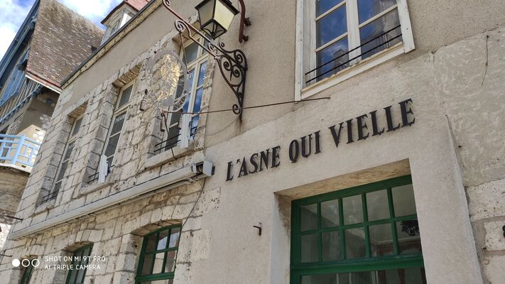 L'asne qui vielle Chartres Copyright Asne qui Vielle