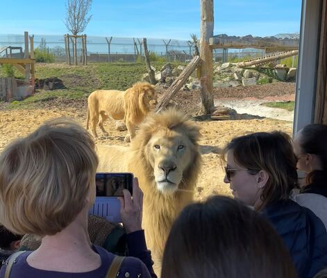 Rencontrez les pensionnaires du refuge La Tanière ©Sophie_Fernandes Petitot.jpeg